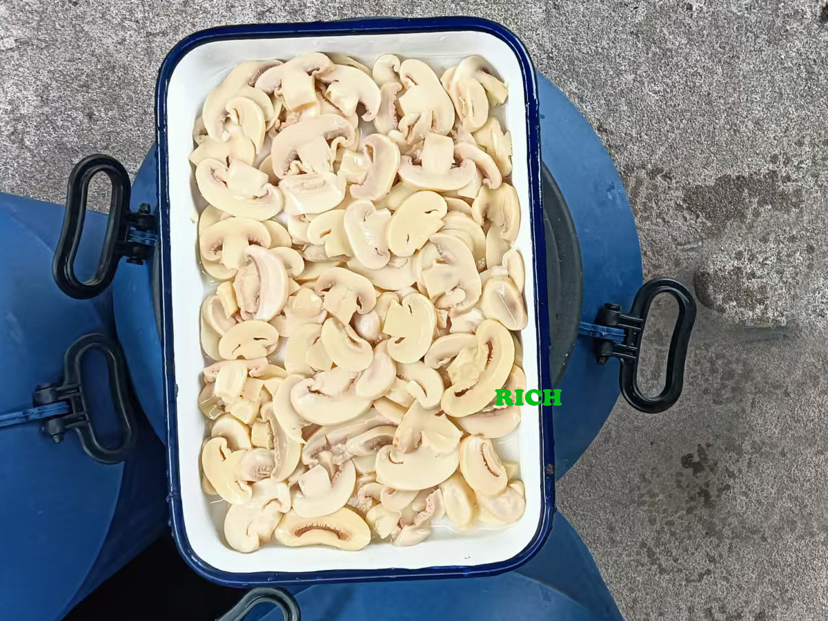 Champignon Mushroom In Plastic Drums