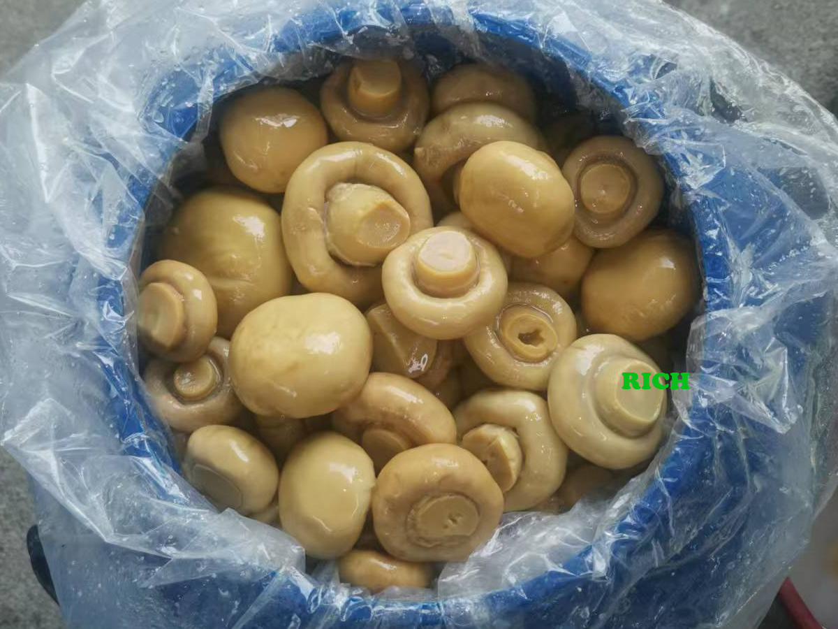 Mushroom in Brine in Plastic Drums