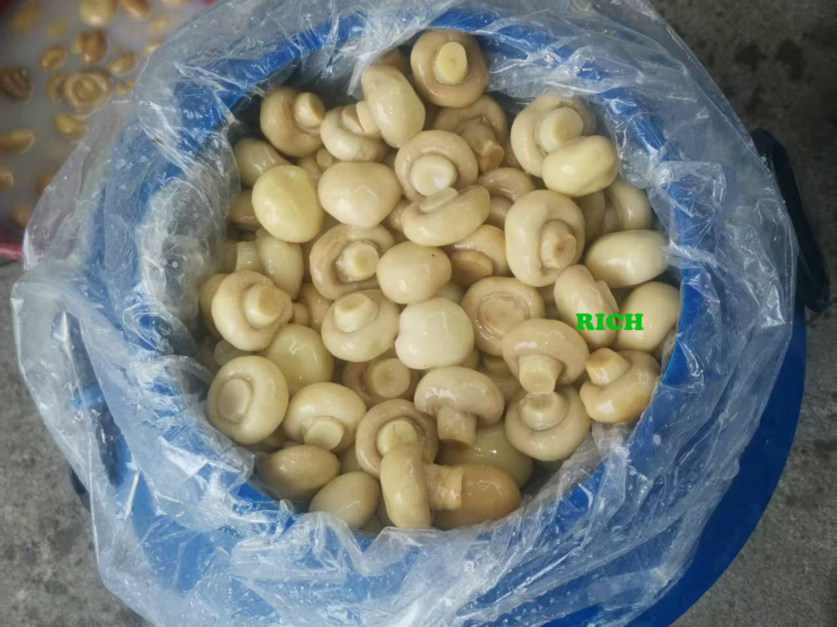 Brined Mushrooms in Drums