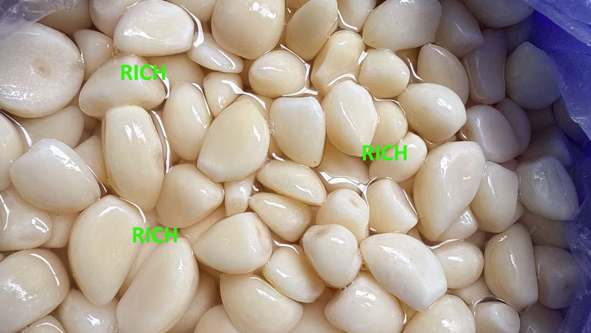 Brine garlic cloves in drum