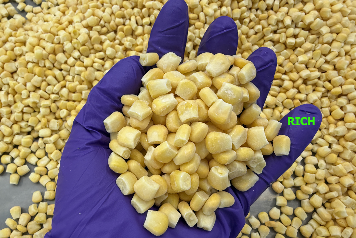 Frozen sweet corn kernels