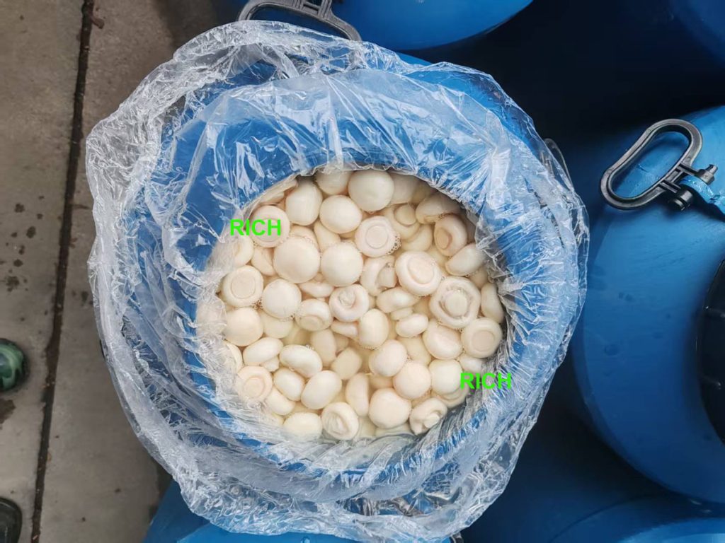 preserved mushrooms in SO2 in drums