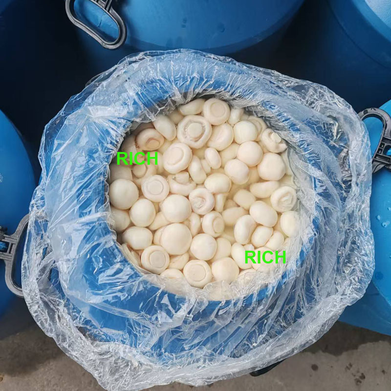 Temporarily preserved mushrooms in SO2 in drums