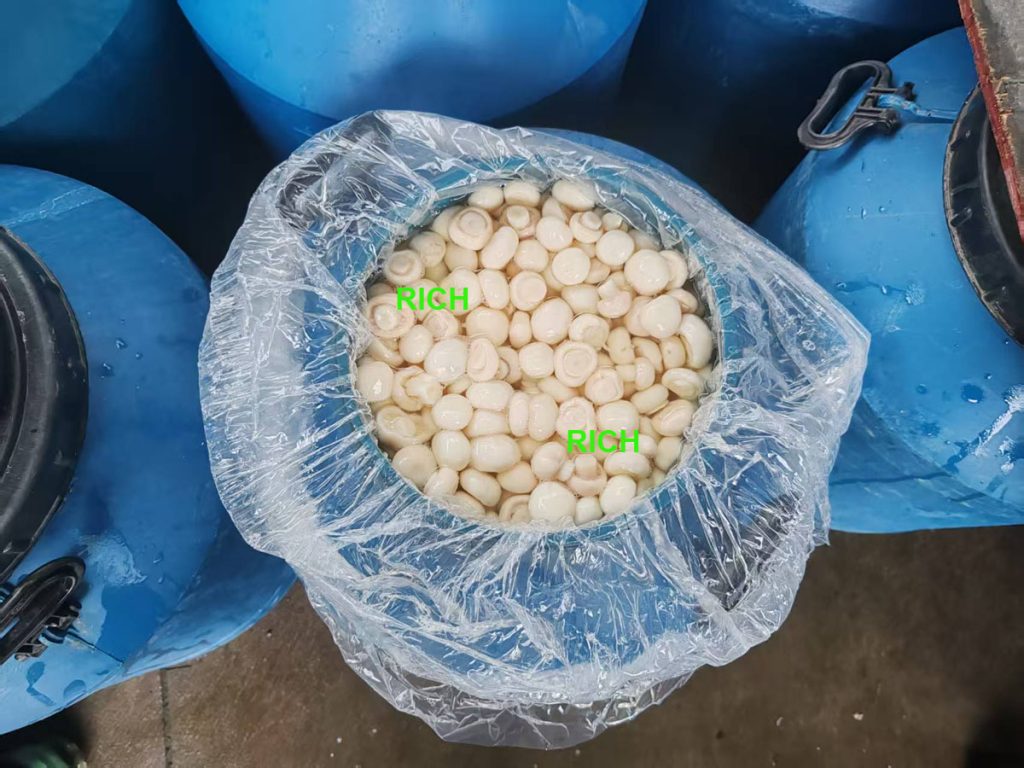 Drum packing champignon mushrooms in SO2