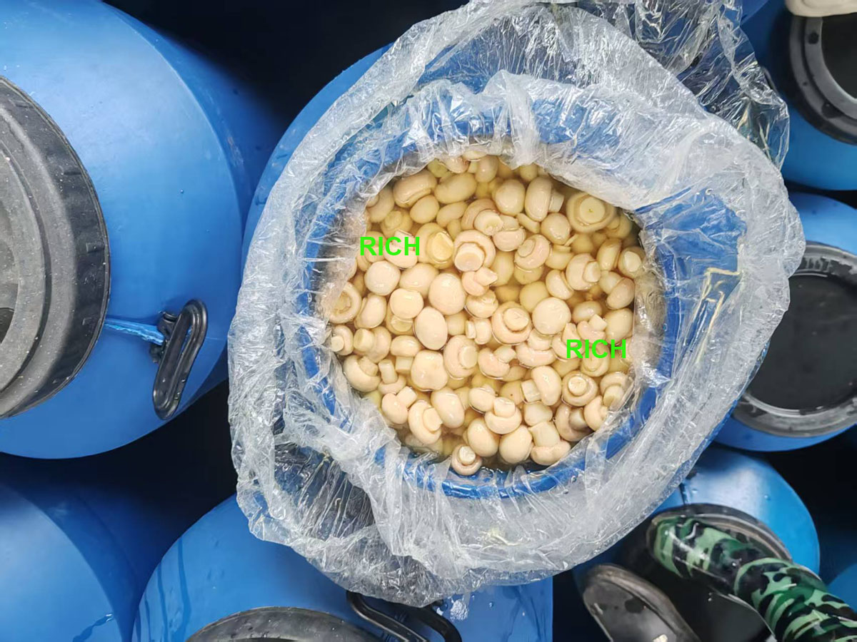 Whole mushroom in SO2 in plastic drums