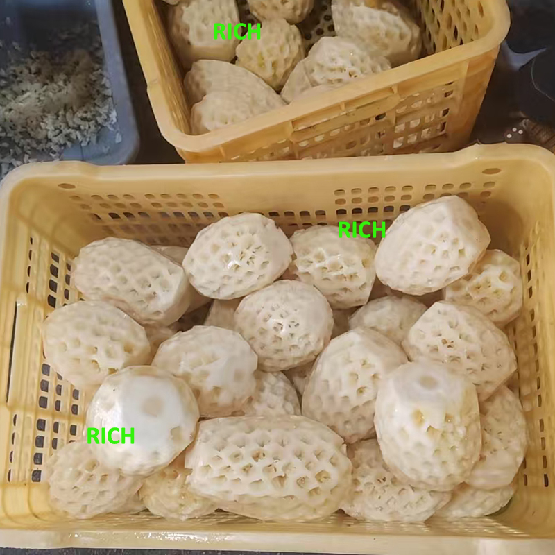 Frozen Pineapple Slices