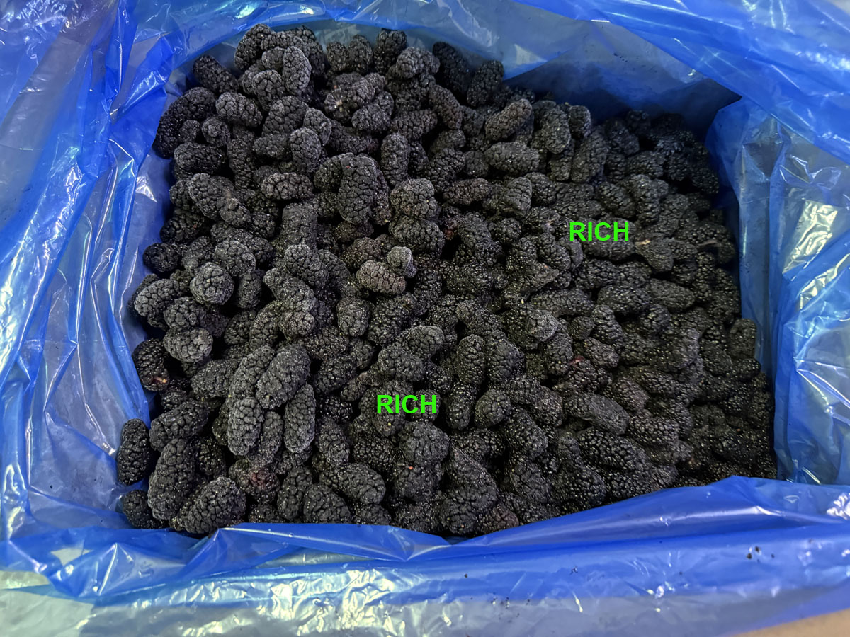 Frozen Mulberries