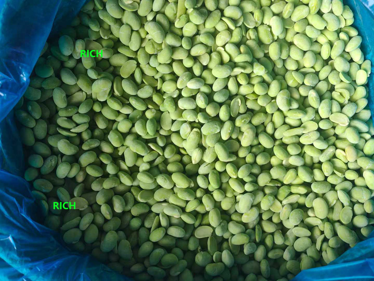 Peeled Freezing Green Soybean