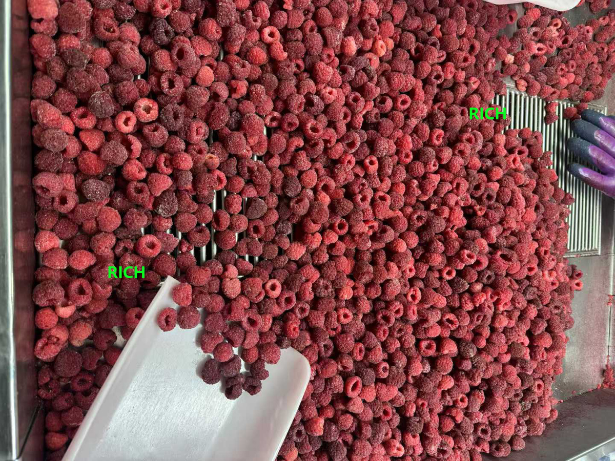 IQF Frozen Whole Raspberry