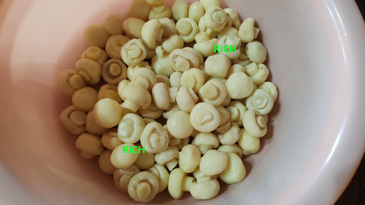 preserved champignon white mushrooms in drums