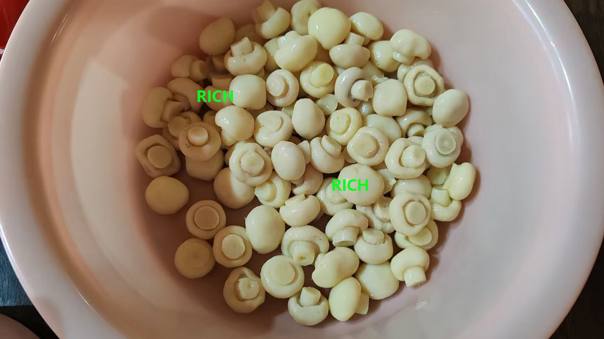 Champignon Mushroom in SO2 in Drums