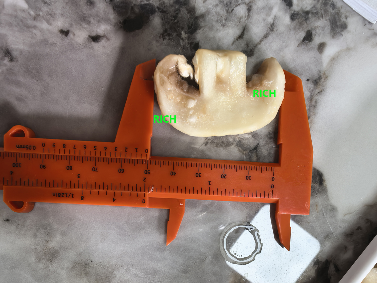Raw mushroom selection