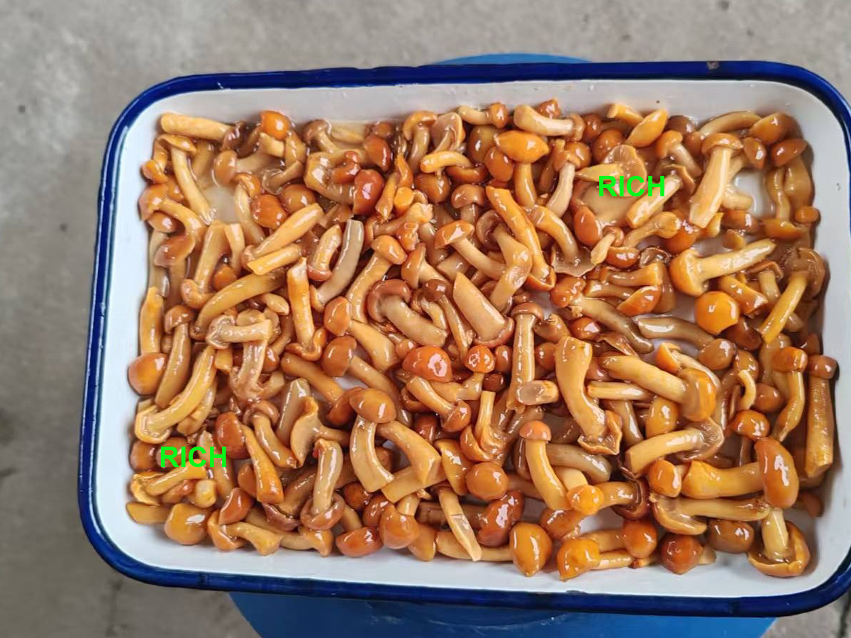 Seasoned Nameko Mushroom In Brine
